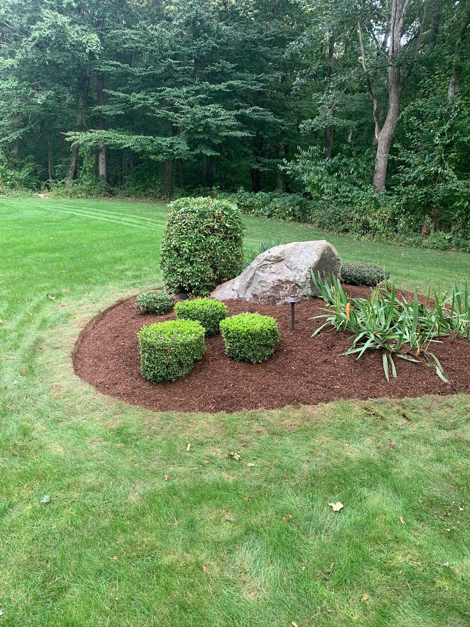 Planting bed in yard with mulch, plants, and a rock